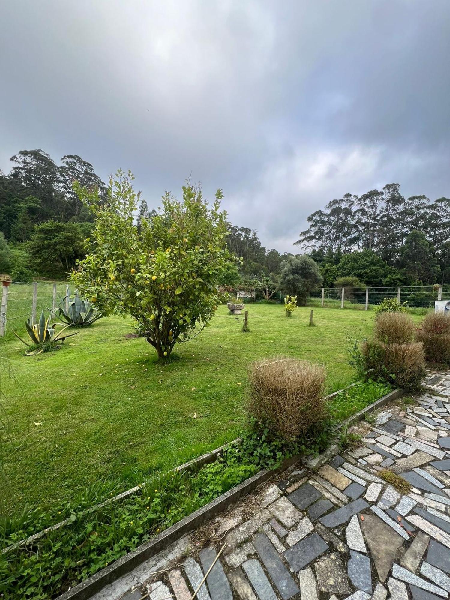 Casa De Campo Adosada Viveiro Ngoại thất bức ảnh